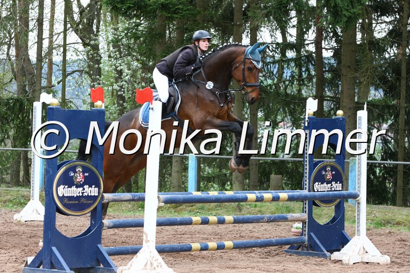 204M9216_Galorino_Stil Ax.JPG